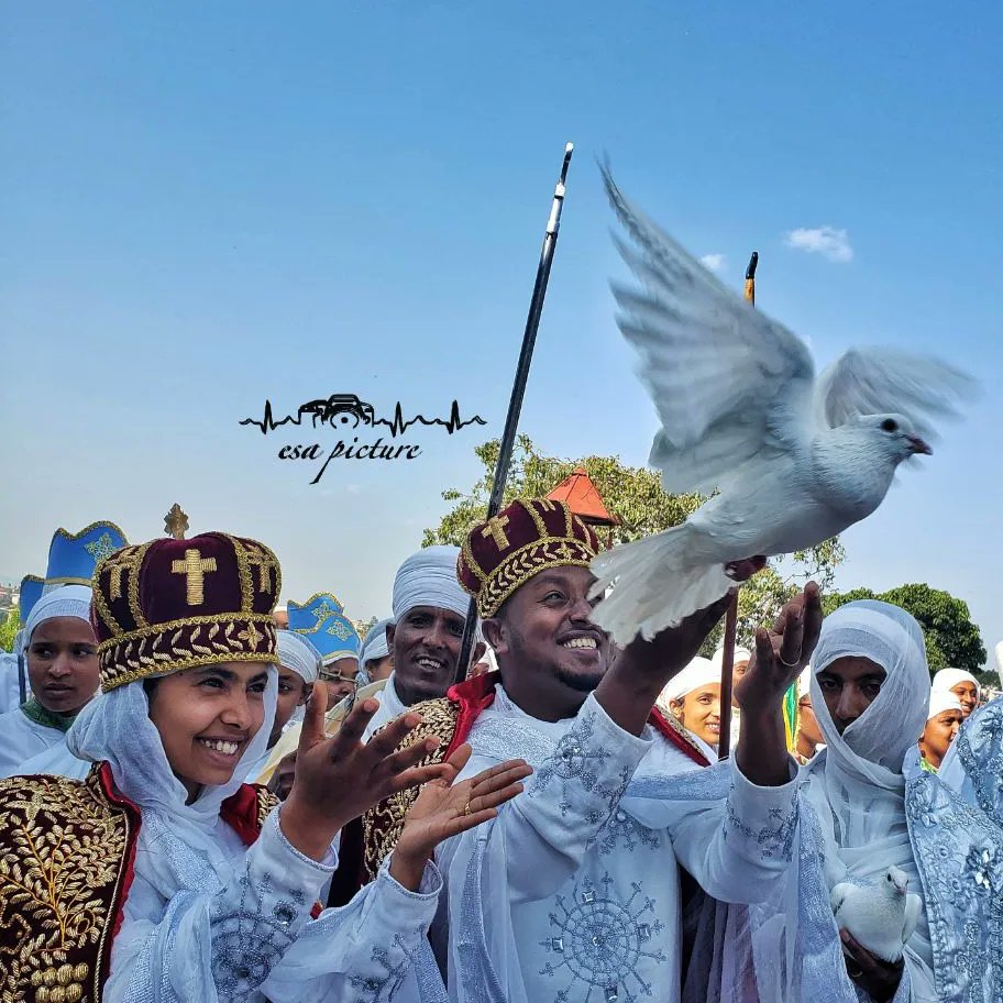 እመቤታችን በአንቺ ምልጃ 
ድንግል ማርያም በአንቺ ምልጃ
መድኃኔዓለም ተዓምር ሰራ በማየ ቃና