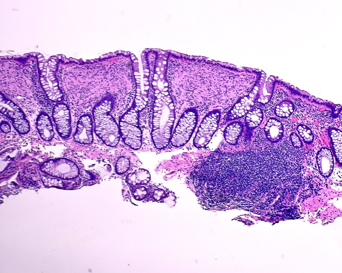 Monika Vyas tweet media