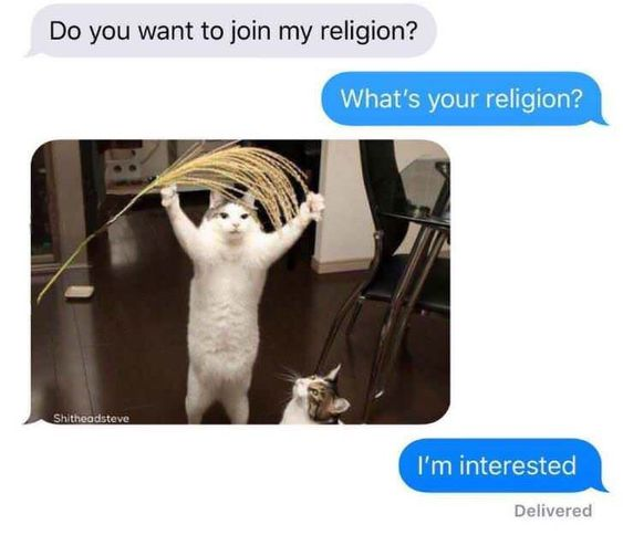 WholesomeMemes (@wholesomememe) on Twitter photo 