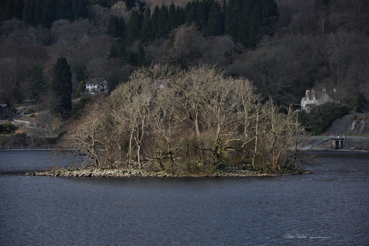 CJMorrison65's tweet photo. ScenicScotland
MacNeist Island (ruined castle), Loch Earn, Perthshire.

#scotland #historicscotland #lochearn #perthshire #macnab #macneish https://t.co/w8Q4qGThs2