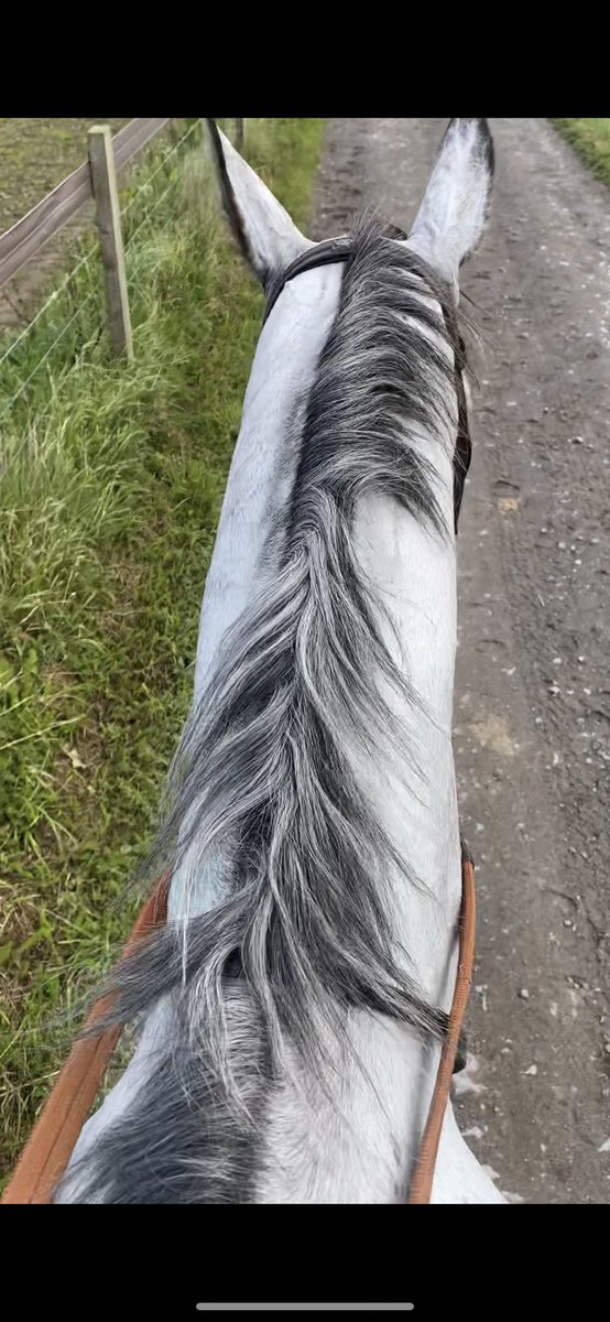 bpowell13's tweet photo. After being invited to ride in the Leg Ends race at Portman Park, the task of getting fit starts here!!! #howehills #FeverRock @RebeccaEMenzies https://t.co/YewaMVqWGG