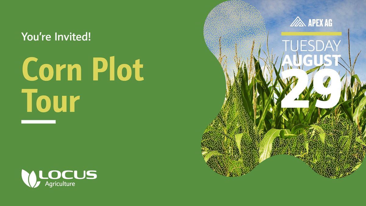 LocusAg's tweet image. Want to see Locus AG #biologicals at work? Join Locus AG and Apex Ag tomorrow, Tuesday, August 29 in Garden City, KS for a corn plot tour. If you're interested in joining us, please send Mark Hill an email at MHill@LocusFS.com. #fieldday #cornplot #cornfarmer