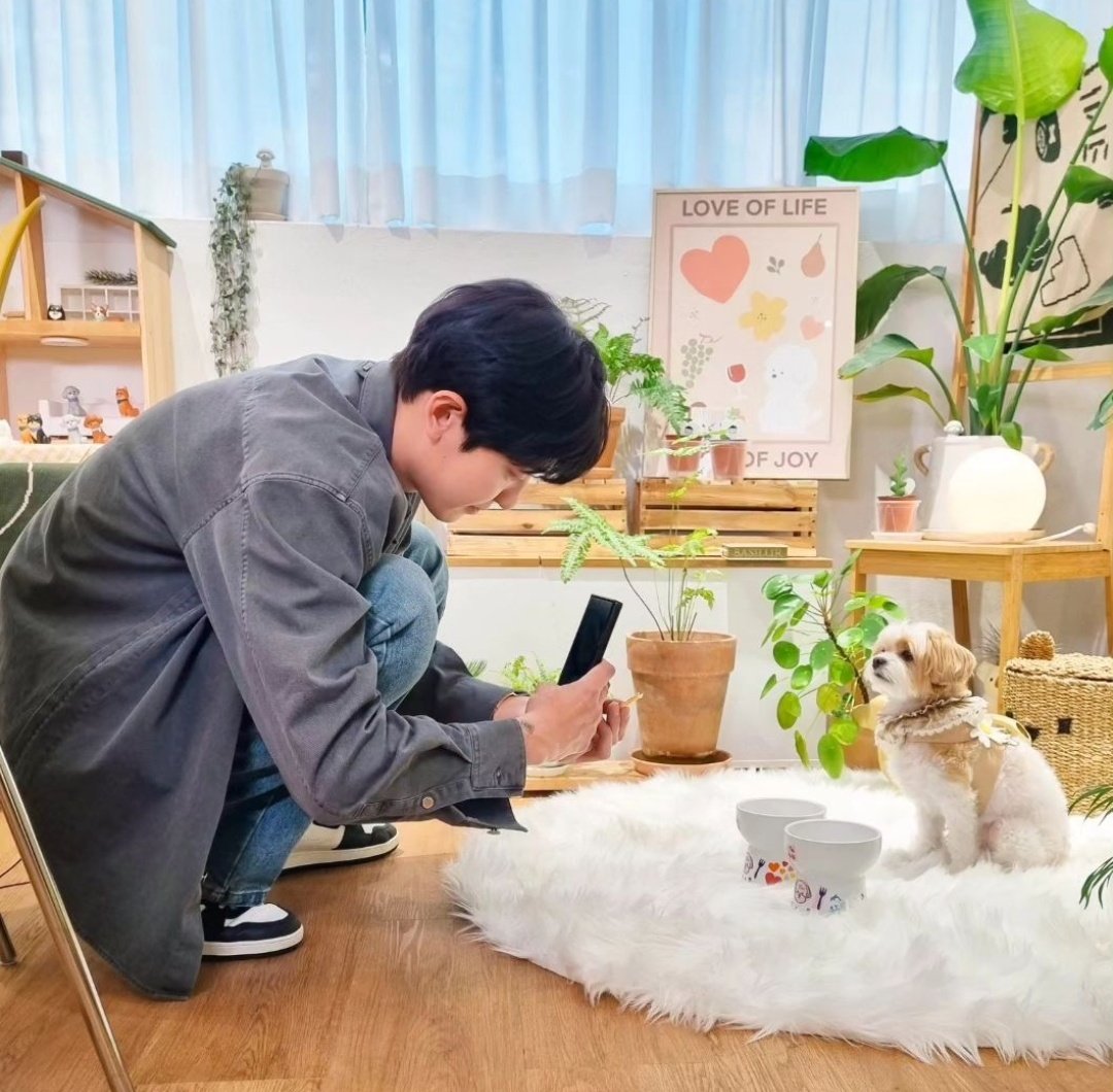 no_loey_no_life's tweet photo. real__pcy IG update ✨️

"Sit down 🐶" https://t.co/fNmhM1ewv3