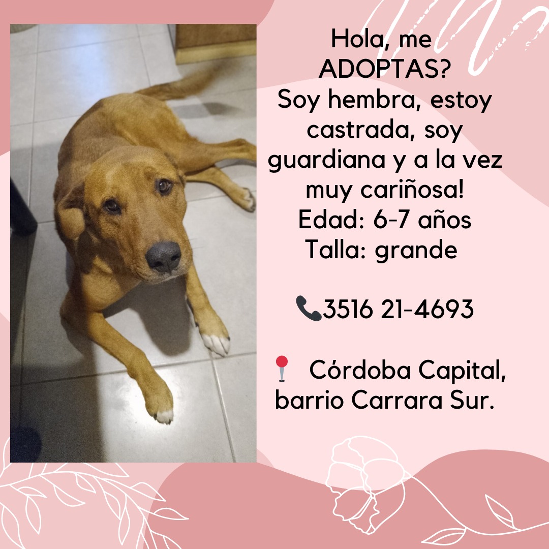 POR FAVOR DIFUNDIR así le encontramos una familia a este ángel que vive en la calle 🙏🙏<a href="/VivireNuevaCor/">VivireNuevaCórdoba</a> <a href="/VivirenGralPaz/">Vivir en General Paz</a> <a href="/Vivir_en_Guemes/">VivirEnGuemes⭐⭐⭐</a> <a href="/VivireNuevaCba/">VivirenNuevaCórdoba®</a>