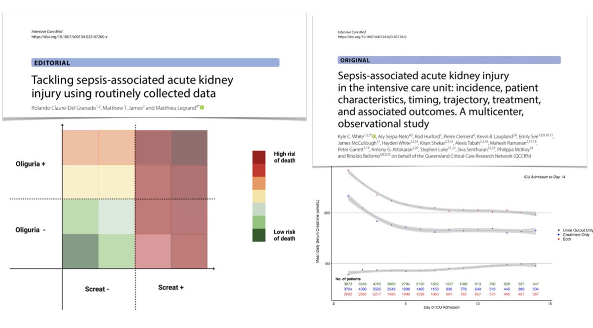 🫘 Sepsis-associated acute kidney injury #AKI occurs early in #ICU! Combining information based on Screat + UO criteria can distinguish patients with different trajectories of kidney function/outcomes.
Editorial
🖇️ bit.ly/3QTHMS1

🫘 Refers to 
🖇️ rdcu.be/dgOYA