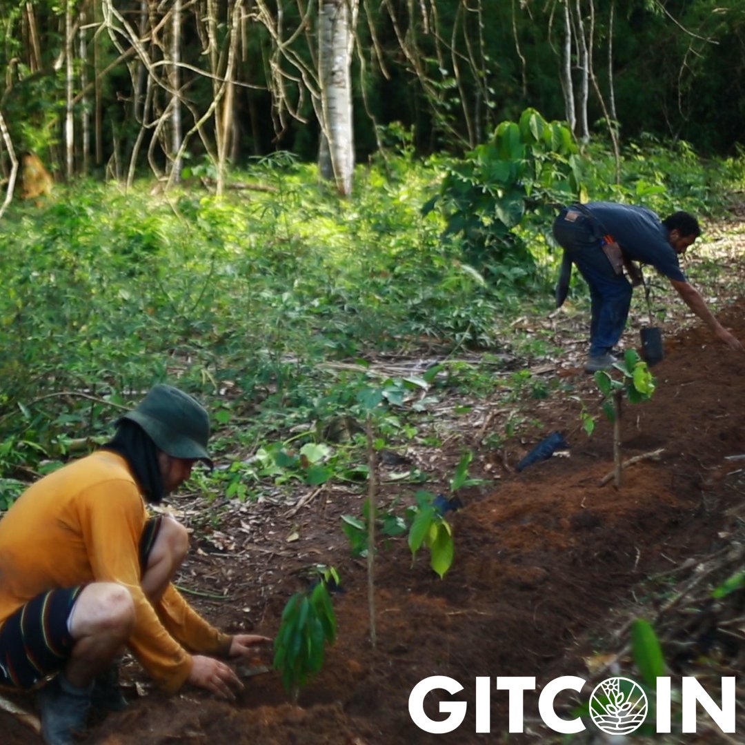ekonavi_com's tweet image. 21 hours left on @Gitcoin Grants 18! Join us to #regenerate Brazil's ecosystems - from the cities to the #Amazon, going through the Nordeste cerrado and Mata Atlântica biomes! Simbora plantar 🌱🌴: explorer.gitcoin.co/#/round/10/0xb…

#ReFi #GG18 #agroforestry #permaculture #QuadraticFunding