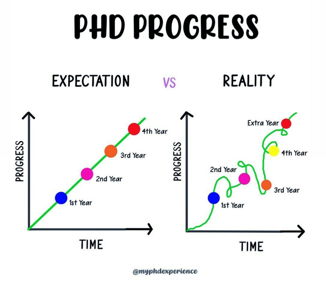 hapyresearchers's tweet photo. PhD progress https://t.co/B8ymLGmAhe