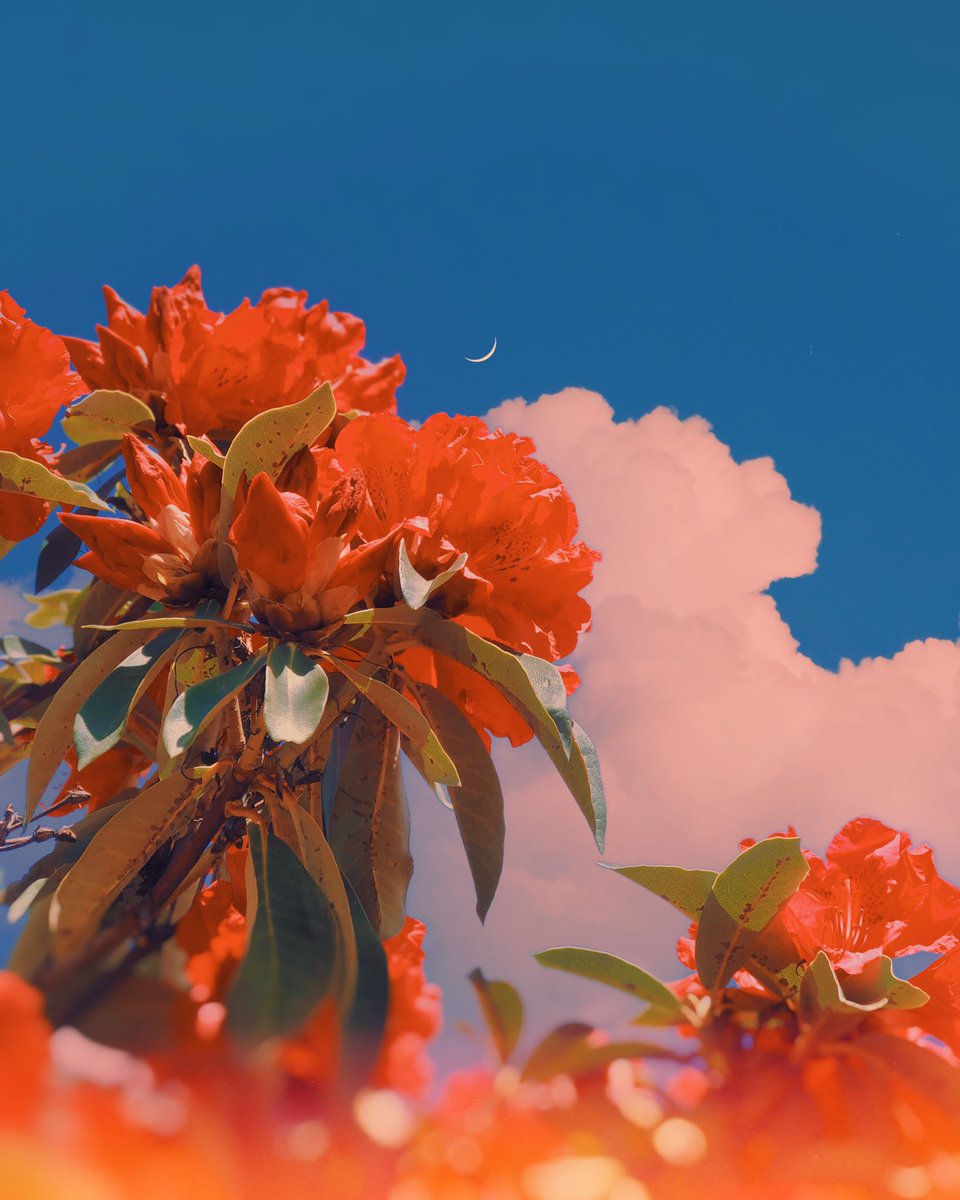 Gm ♥️ a few compositions that I love