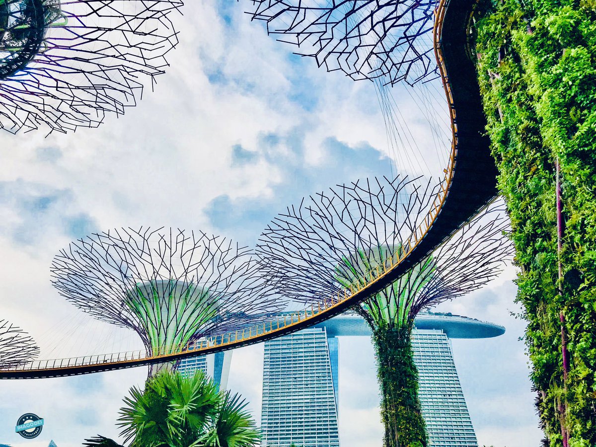 Gardens by the Bay, Singapore 🇸🇬 
#singapore
#bucketlist #travel #roadtrip #vacation #hiddenjem #holiday #destination #addtobucketlist #bucketlistideas #travelideas #traveltips #travelguide #holidaytips #holidayideas #holidayguide #vacationtips #vacationguide #vacationideas