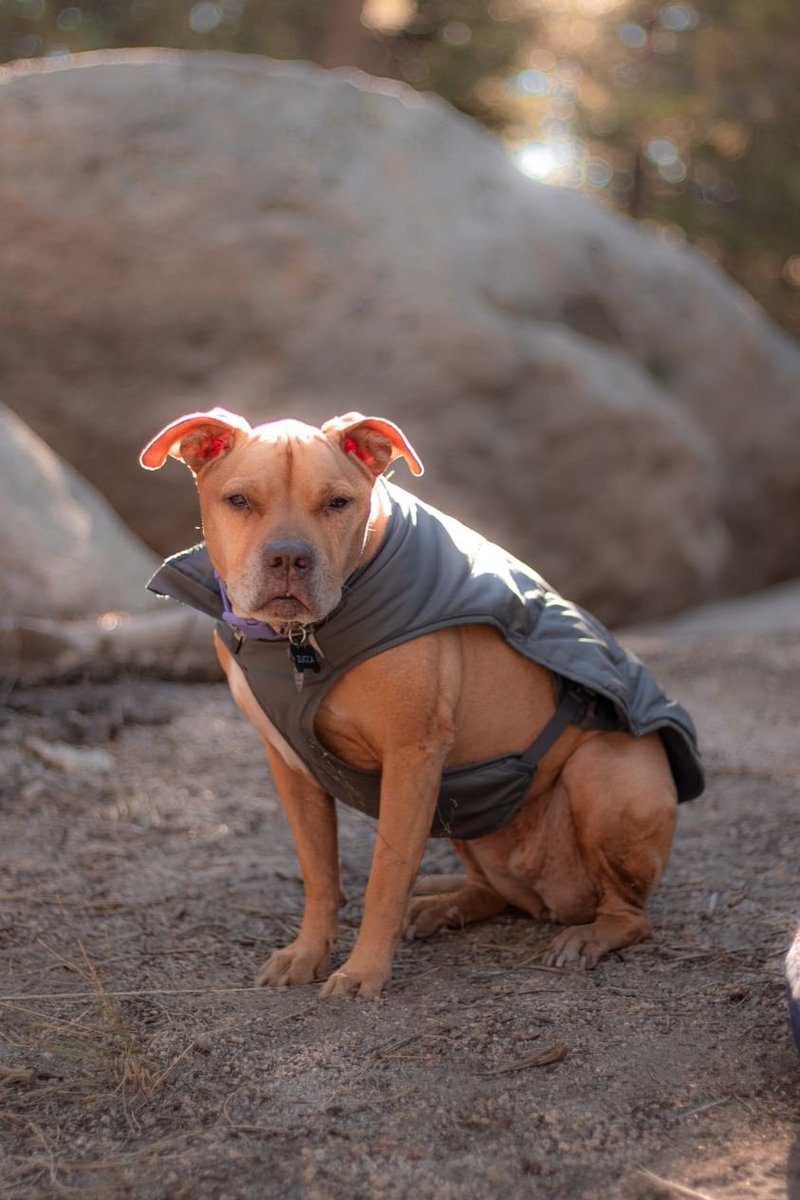 Geena Urango tweet media