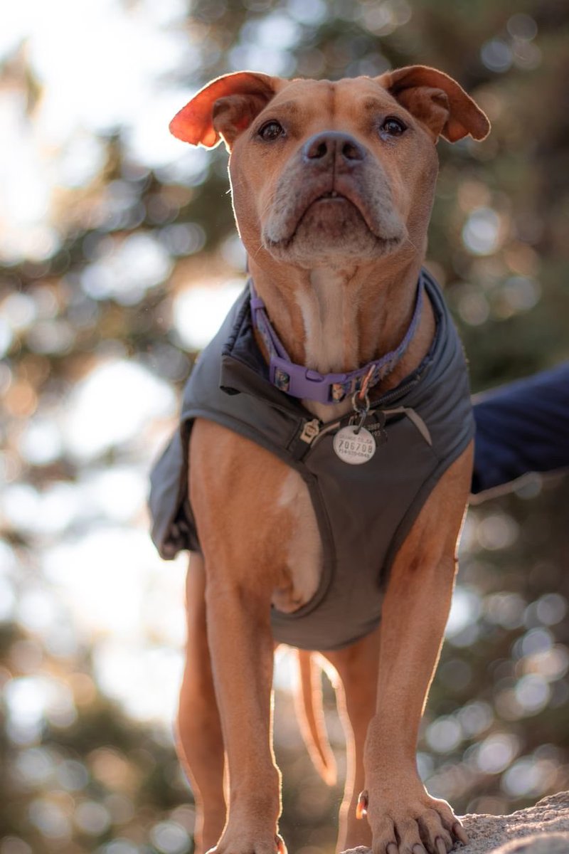 Geena Urango tweet media