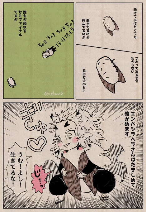 ハシラヘラコウモリ140(セミ) ならば近づくまで!!な🔥ヘラさんのセミフアイナル。 むしろ秒で抱え込みバタつく間を与えない。あおむけのセミを発見した際はこれで勝負だ👀