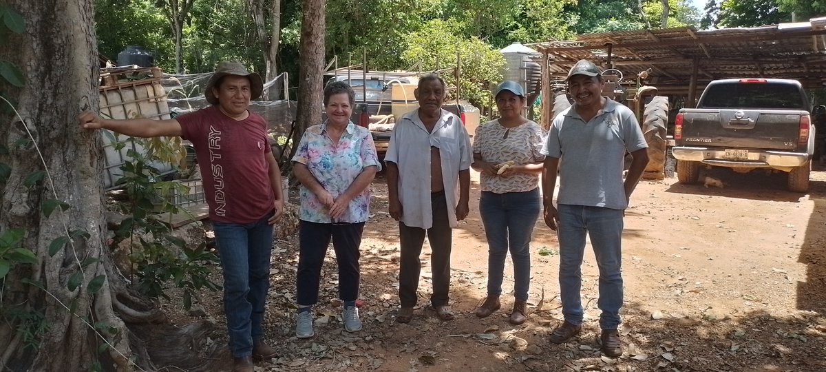 Hub_Yucatan's tweet photo. Así como el trabajo hecho en colaboración con aliados y colaboradores de la península de Yucatán, y el involucramiento de estudiantes en las actividades del hub. Aún hay mucho por hacer pero su visita nos inyecta nuevas perspectivas, retos y motivación! Muchas gracias. https://t.co/Es5UO55nlA
