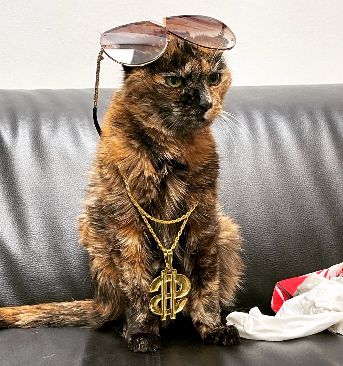 Car Quay Ltd tweet media