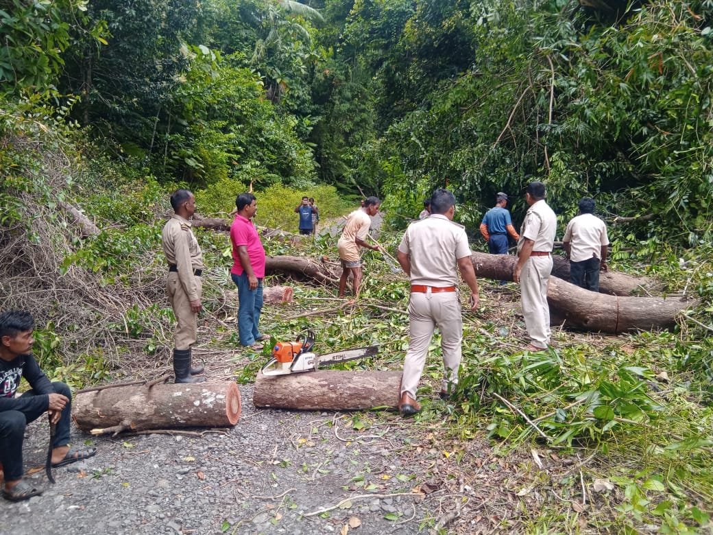 FireService_ANP's tweet photo. Fire Fighters of #FSKamorta promptly swung into action on receipt of information regarding- a Tree which had fallen alongside High Tension Electric Line.
The tree was immediately removed with the use of DM Equipments & normal Traffic restored. https://t.co/tvZSgWqjQZ