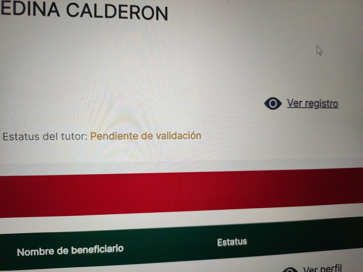 emedinaracing's tweet photo. @BienestarEdu Tengo registrado un hijo, quiero registrar otro hijo pero no me aparece la opción. Y mi estatus como tutor está en proceso de validación desde hace 1 año. https://t.co/4k7KjQOaMp
