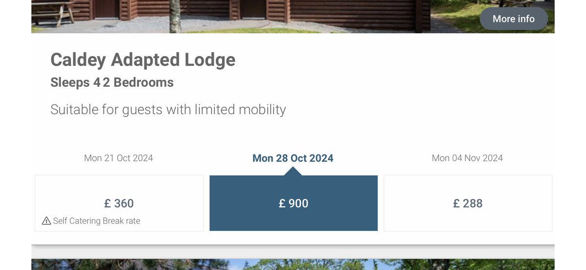 Nia Elsbeth tweet media