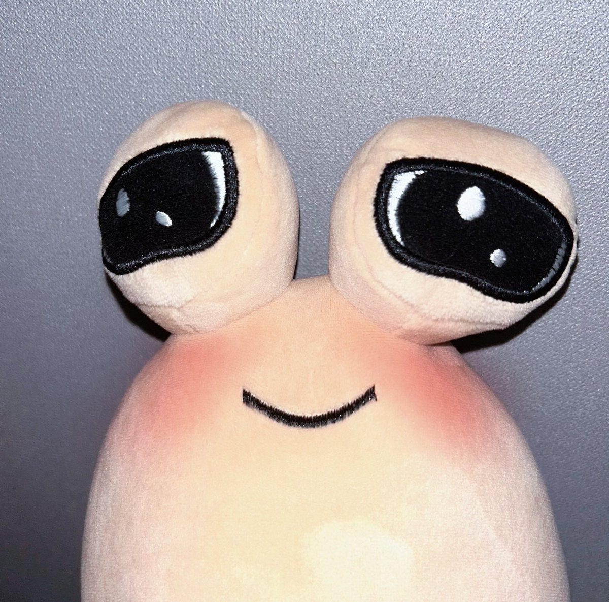 가을이 오잖아…!!= ^~^ =!!