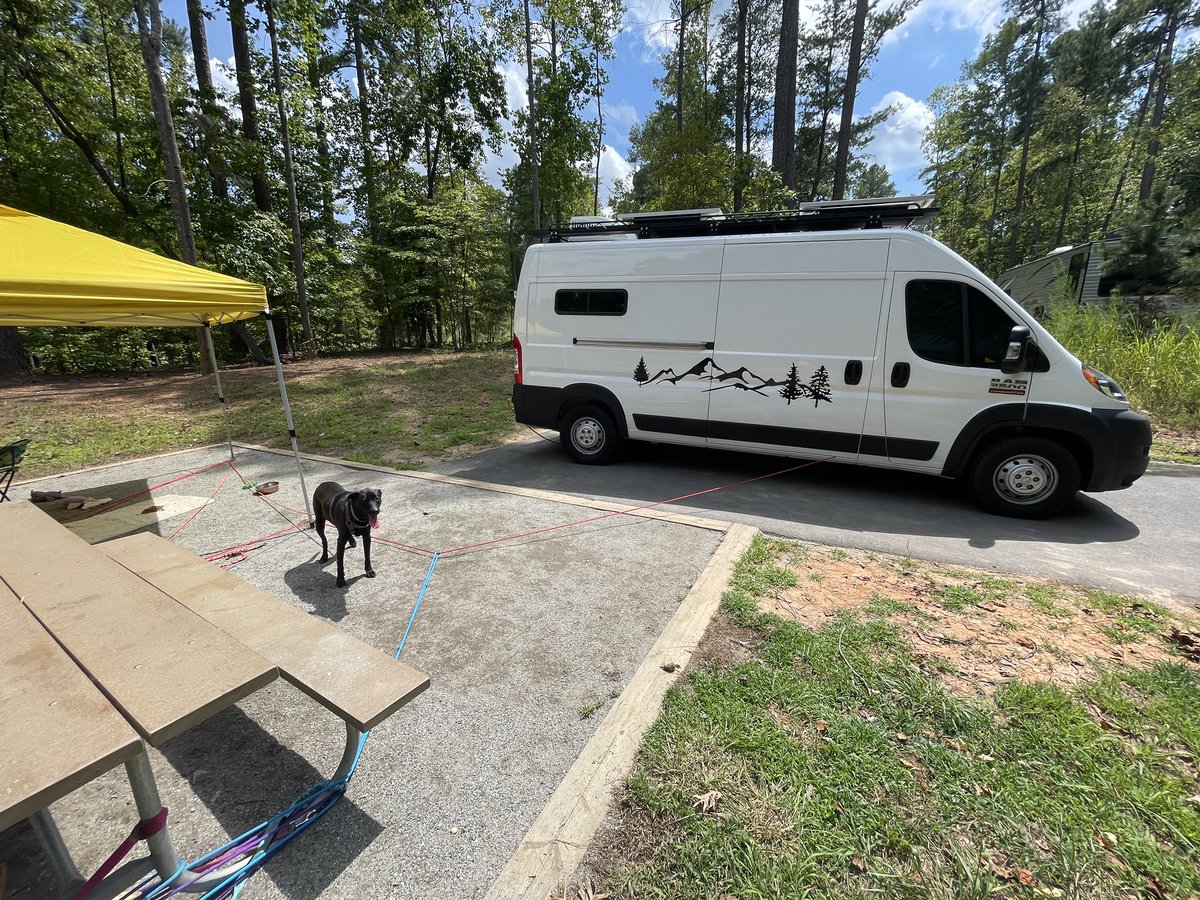 Gretchen Winter, MD 🌼 (Warning: Feral) tweet media