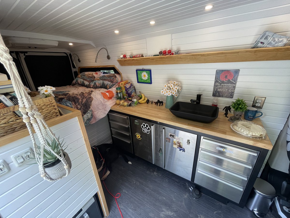 Gretchen Winter, MD 🌼 (Warning: Feral) tweet media