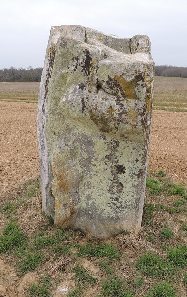MonumentumFr's tweet photo. Menhir de la Pierre-aux-Prêtres à #Tousson (#SeineEtMarne) Construction Néolithique. Menhir de la Pierre-aux-Prêtres : classement par arrêté du 10 février 1913.
Suite 👉 https://t.co/tce2b8zPd9
#Patrimoine #MonumentHistorique https://t.co/R71pmaXQET