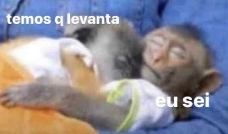 sejabemgay's tweet photo. queria tá assim com ela https://t.co/VPd4FMCycF