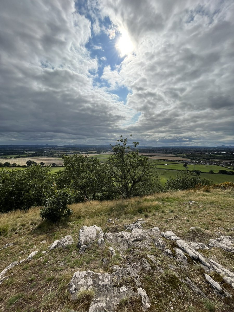 Brief bit of sunshine up Haughmond Hill in Shropshire #loveukweather