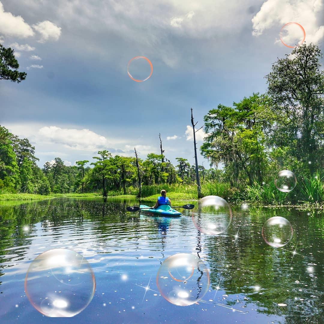 tesitheaus76948's tweet image. It&apos;s a good day.