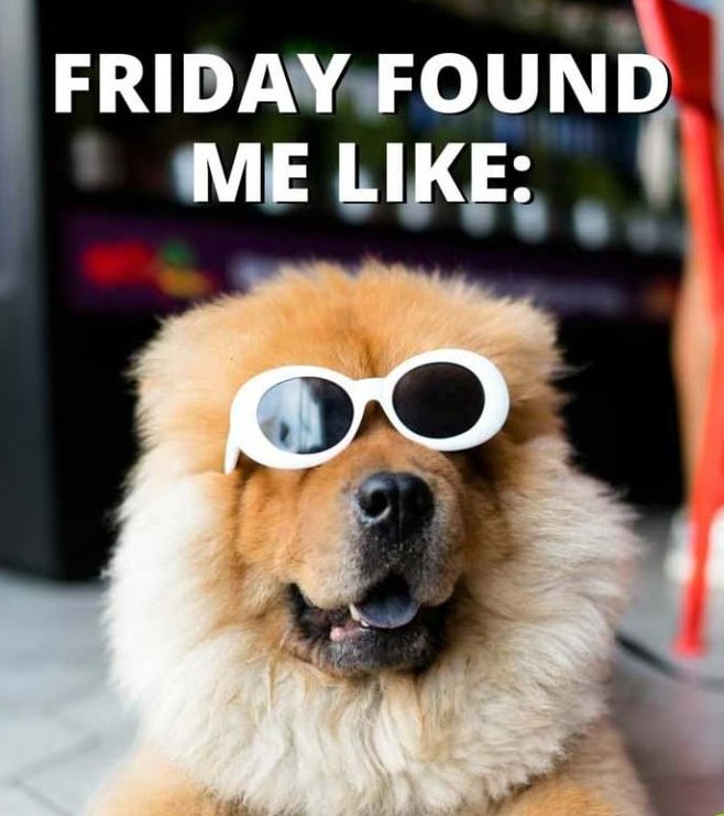 EngeniumCareers's tweet photo. We figured you needed a little laugh this Friday 😎

@engenium has had a great week and we hope you have too!

#recruiting #recruiters #staffing #wearehiring #nowhiring #networking #jobs #network #jobalerts #hiring #friday #linkedin https://t.co/rVPcXKAHwl