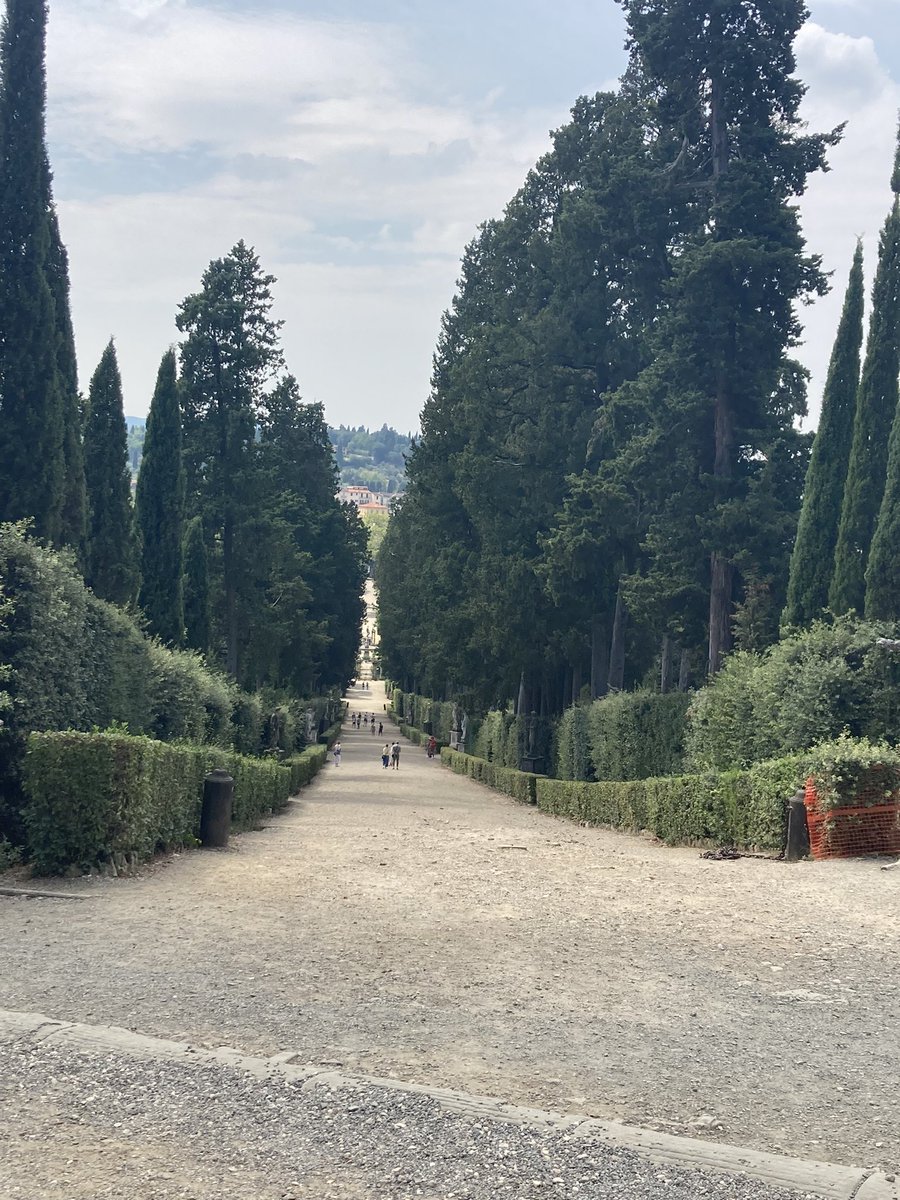 #ILoveTrees #BoboliGardens #Florence #Firenze