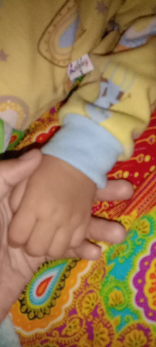 aassssze's tweet photo. Perkara appahnya belum masuk kamar, doi nda mau bubu.. pdhl enen udh sejam lebih, giliran appahnya masuk kamar bercanda nda ada mamenit, langsung klesek ndusel bubu sendiri 🥺

Kan mama gemez mass 😭 https://t.co/ROLIHnssAM