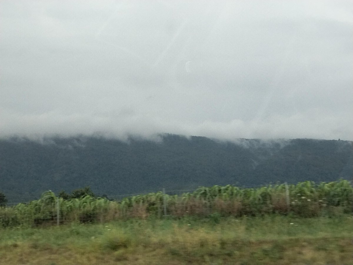 willowisworking's tweet photo. omg the fog is coming... https://t.co/l5KsOiHHJn