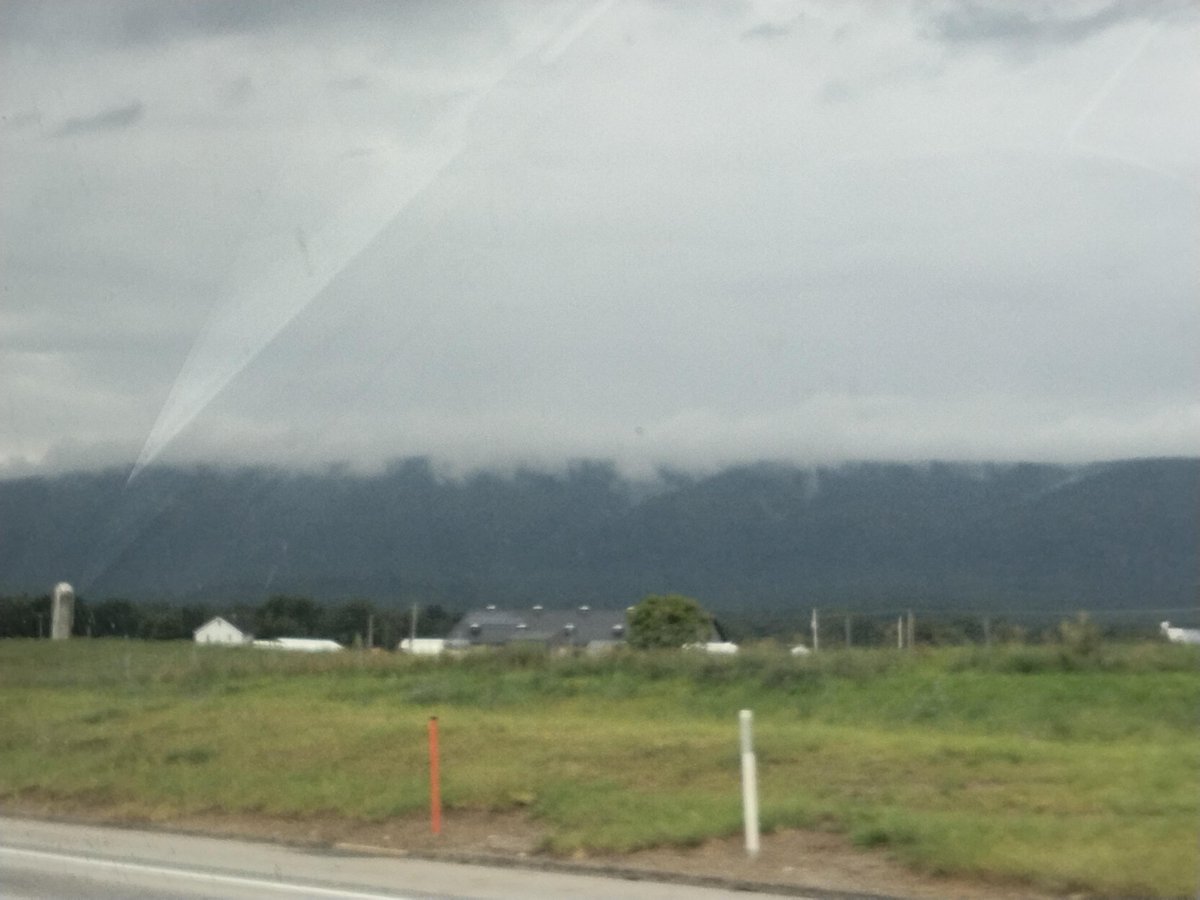 willowisworking's tweet photo. omg the fog is coming... https://t.co/l5KsOiHHJn