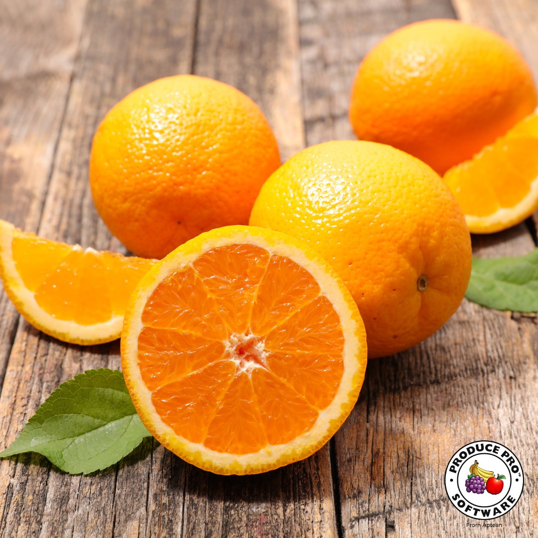 producepro's tweet photo. Zest up your business with Produce Pro Software from Aptean. 🍊 Learn how to squeeze out the best from our solutions today! https://t.co/gUNThhbXc4 #producepro #ERPsoftware https://t.co/UIwLysfxwl