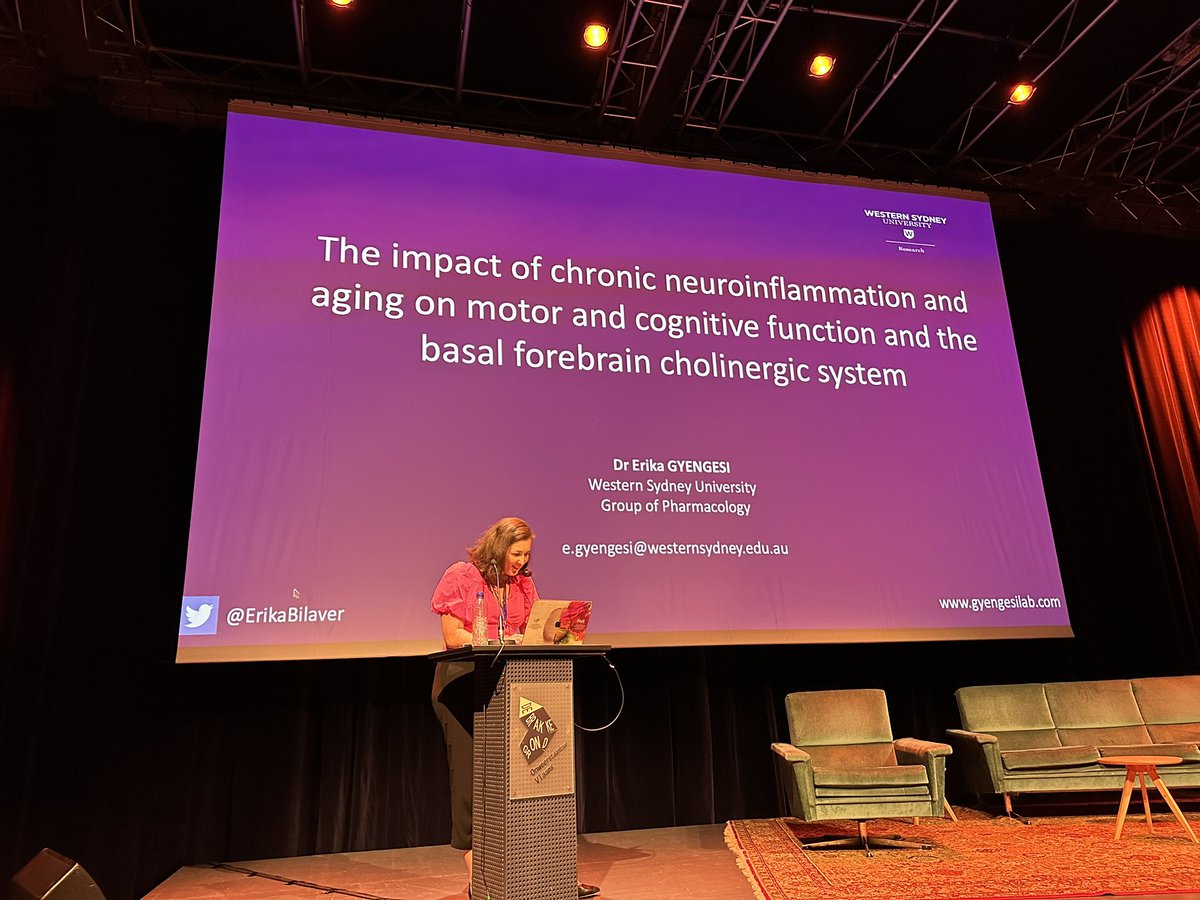 KorosiAniko's tweet photo. Great last parallel session of day 3 about   The impact of age-related neuroinflammation and stress on neuromodulators and glial processes with @ErikaBilaver @EggenBart @JorineGeertsema  and Cleide Dos Santos Souza https://t.co/MFEDBOnXgI