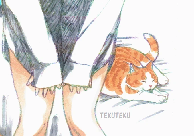 それぞれ寄りにゃ 