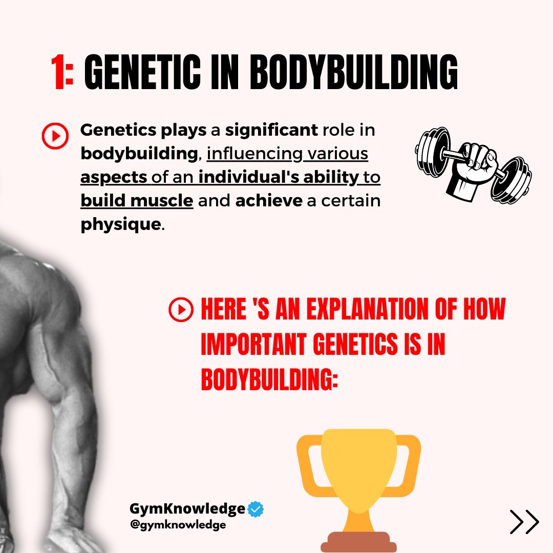 GymKnowledgeOne's tweet image. 🏋️‍♂️ Unlocking the Genetics of Gains 🧬

Ever wondered how much your genetics influence your bodybuilding journey? 💪 Here&apos;s the scoop:
#bodybuildinggenetics  #genetics #workouttips