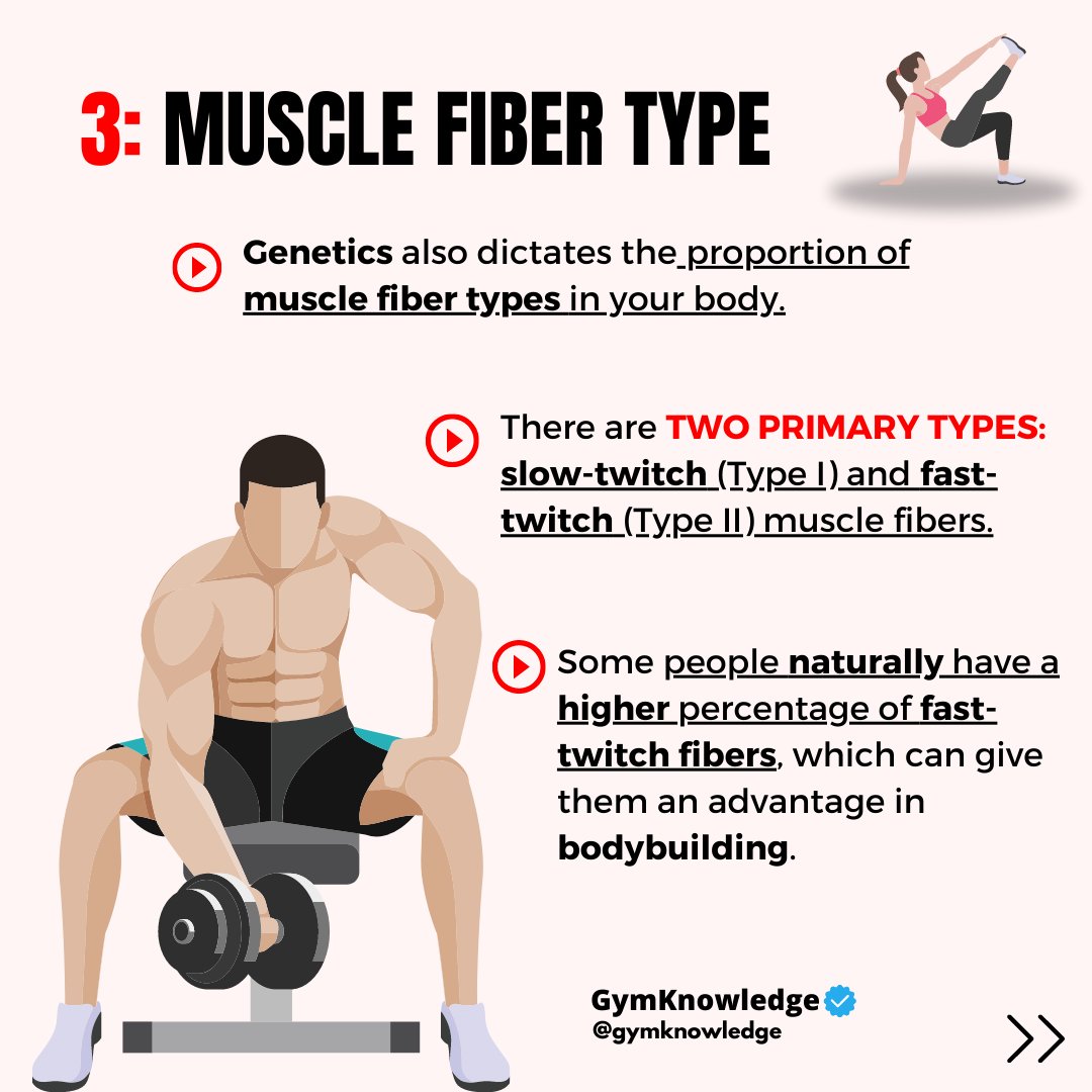 GymKnowledgeOne's tweet image. 🏋️‍♂️ Unlocking the Genetics of Gains 🧬

Ever wondered how much your genetics influence your bodybuilding journey? 💪 Here&apos;s the scoop:
#bodybuildinggenetics  #genetics #workouttips