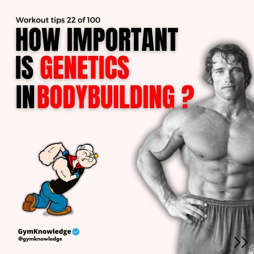 GymKnowledgeOne's tweet image. 🏋️‍♂️ Unlocking the Genetics of Gains 🧬

Ever wondered how much your genetics influence your bodybuilding journey? 💪 Here&apos;s the scoop:
#bodybuildinggenetics  #genetics #workouttips