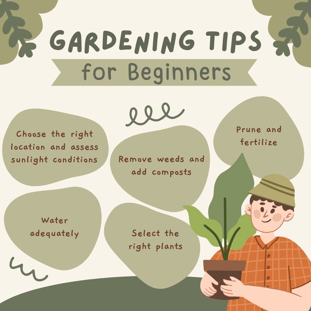 thamarmanuel's tweet photo. 🌱 Dreaming of a beautiful garden? Let's get started with these gardening tips for beginners! 🌺🌿 

#GardeningTips #BeautifulGarden #Homeownership https://t.co/TUP5tkd8OG