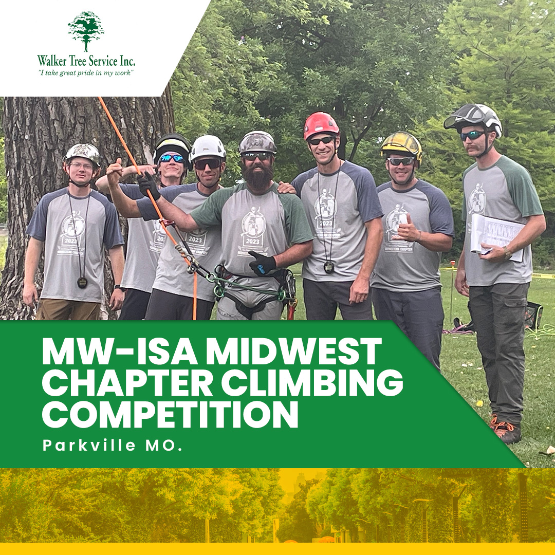 TreeWalker's tweet image. Recently, our team took on the challenge and competed in the exhilarating MW-ISA Midwest Chapter Climbing Competition.  You can trust us to treat your trees with the same passion and expertise that shone at the competition.
#LocalBusiness #ExperiencedTreeService