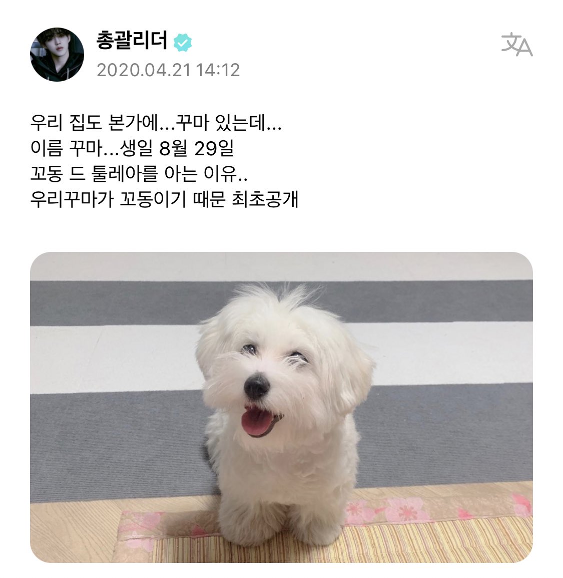 우리 공주님 생일 축하해~~🩵
행복강쥐아기강쥐
평생 승철이랑 행복하게 살아!!

#해피꾸마절