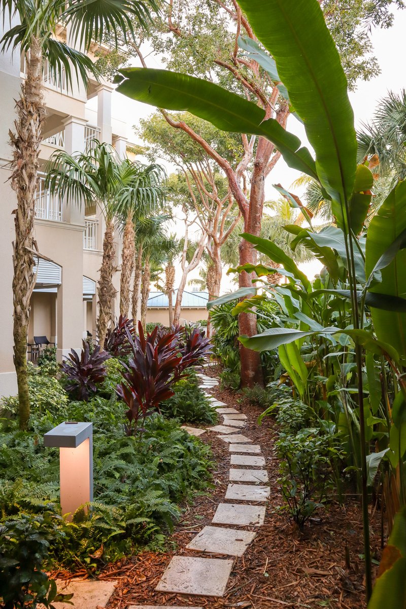 Choose your "ReFLEXions Of The Day" Day Pass and join us for a day at our first ever ReFLEXions Wellness Retreat from September 15-16. 

Single day passes are available for your enjoyment: resortpass.com/hotels/playa-l…