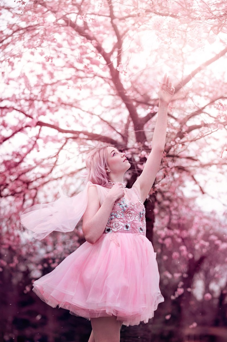 S.Photography tweet media