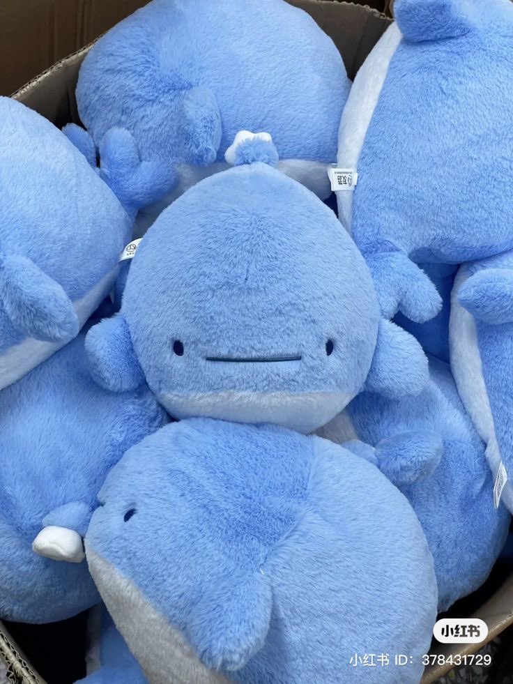 whale plushies 🎀