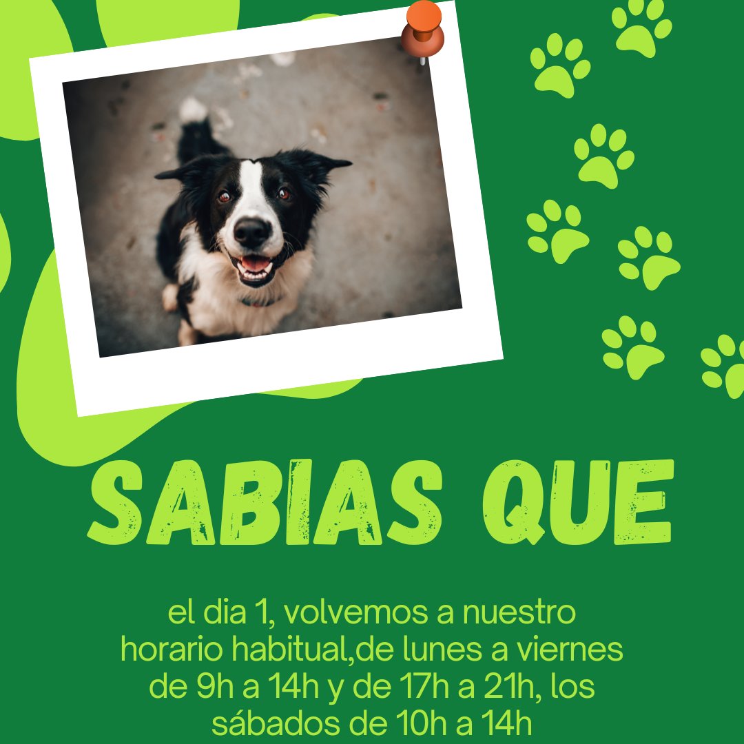 EquipVeterinari's tweet photo. #VERANO #CVCornella #mascotas https://t.co/SCsTHTzpiQ