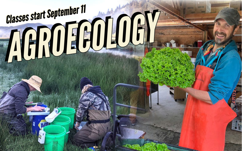 swocc's tweet image. What is Agroecology? 🌱 🌞 🌾 
It’s science. It’s agriculture. It’s ecology.
Southwestern's new degree pathway (and Community Classes) start fall term.
Find out more here: bit.ly/44j24Y2
#SWOCCbound #smallfarm #sustainability #Agroecology #FutureFarmer