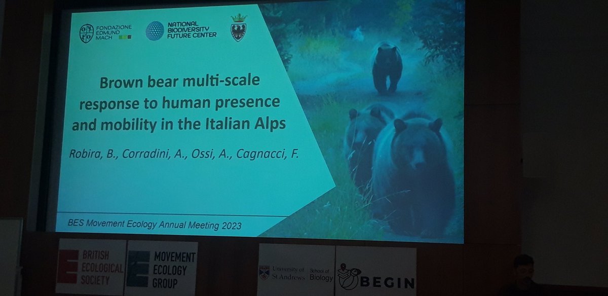 BES_Move_SIG's tweet photo. The 1st talk of the terrestrial human-wildlife interactions session is by Andrea Corradini from the Fondazione Edmund Mach (Italy) on brown bear multiscale responses to human presence. #BESMove2023 https://t.co/HHWesBgYzV