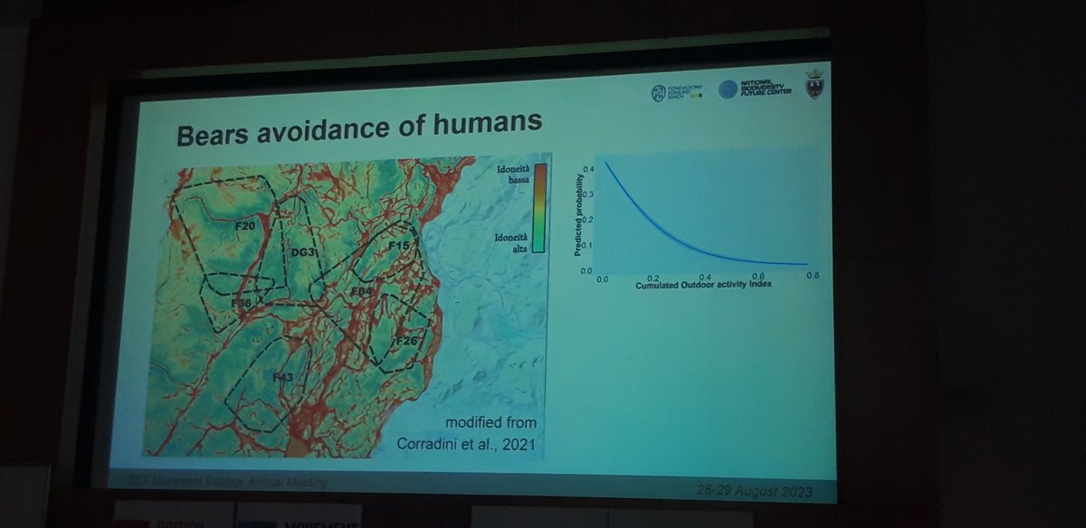 BES_Move_SIG's tweet photo. The 1st talk of the terrestrial human-wildlife interactions session is by Andrea Corradini from the Fondazione Edmund Mach (Italy) on brown bear multiscale responses to human presence. #BESMove2023 https://t.co/HHWesBgYzV