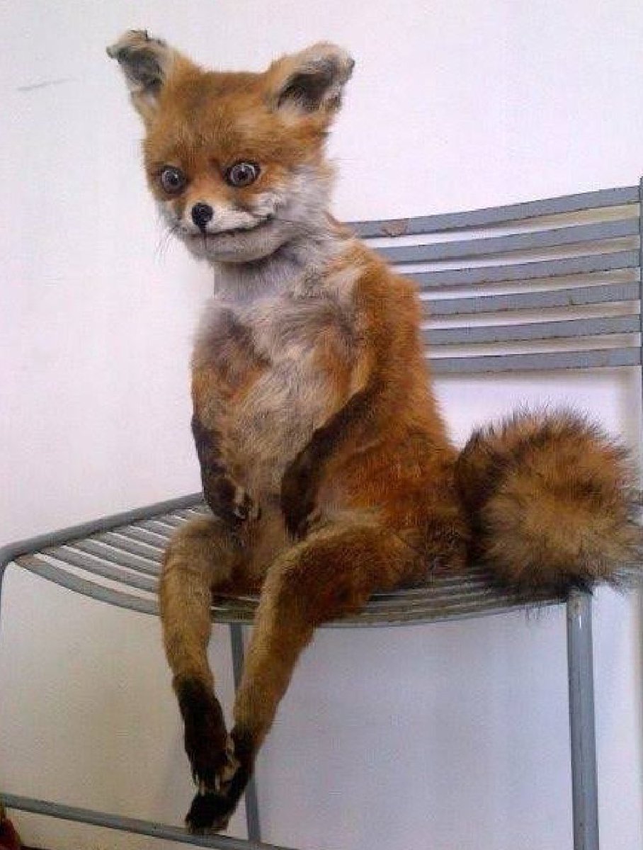 wondervvanny's tweet photo. “I hope this email finds you well”

Me, being found by the email: https://t.co/LbKEVdRIY5